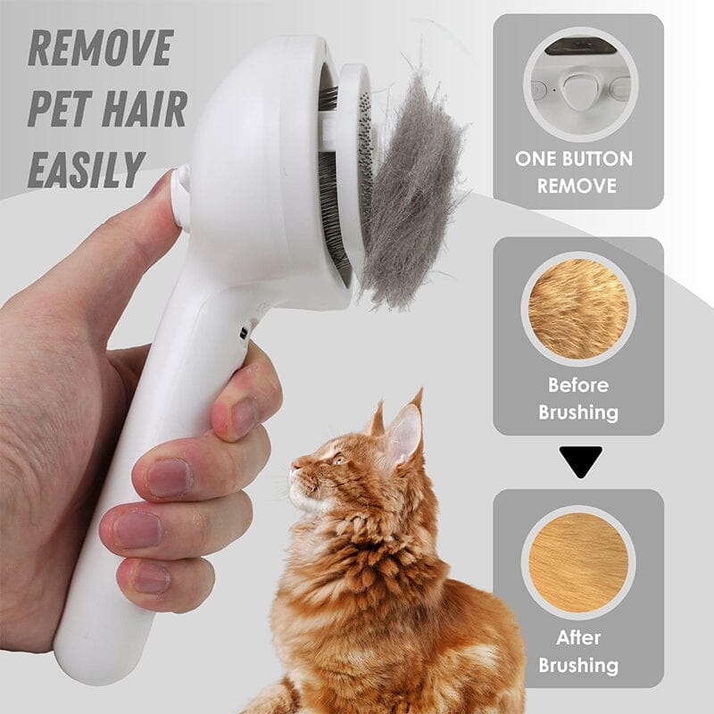 Avtoit | Spray Cat Brush