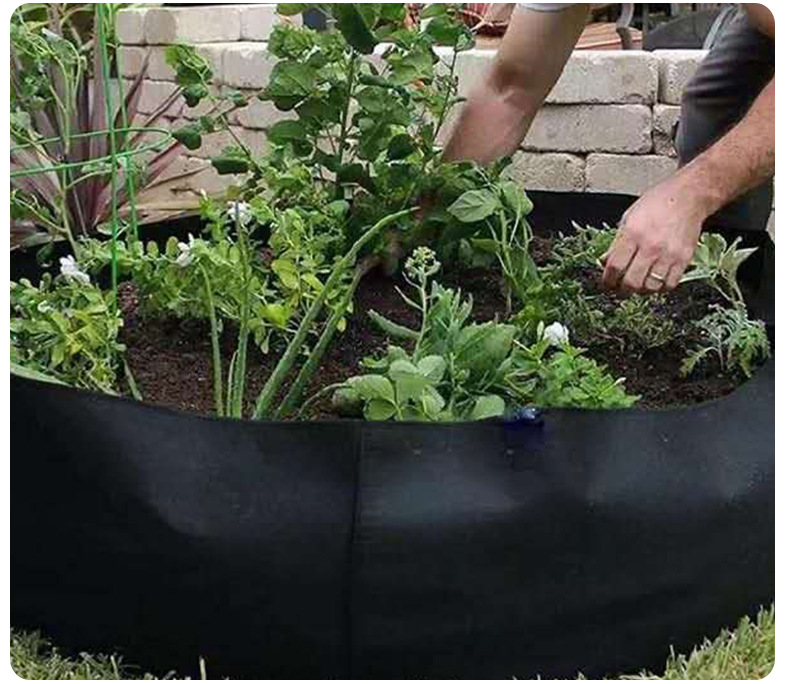 Avtoit | Round Plant Growth Bag – Garden Container for Easy Plant Growth