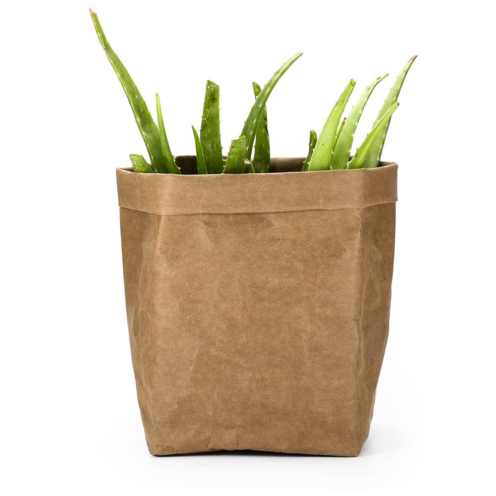 Avtoit | Stylish plant pots made of paper for modern decoration