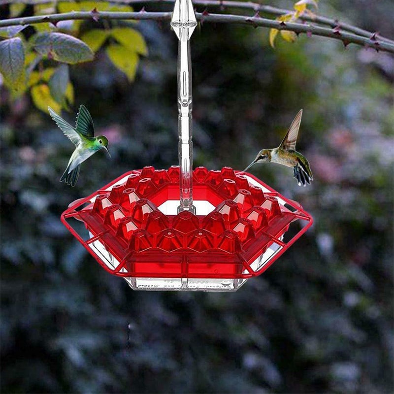 Avtoit | New Hummingbird Feeder