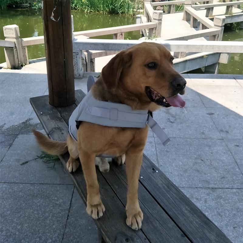 Avtoit | Dog Swim Safety Jacket
