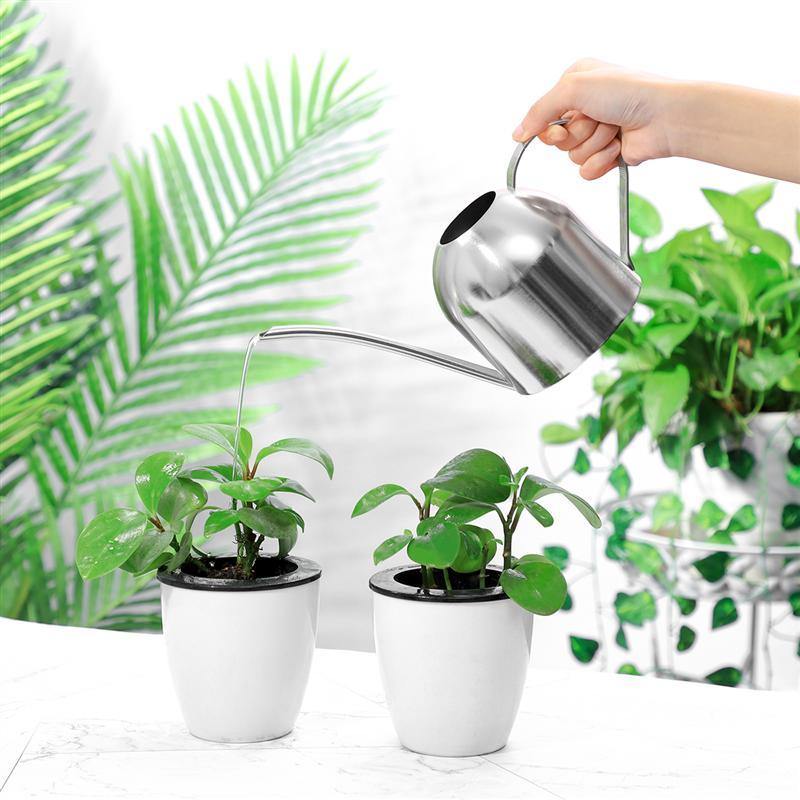 Avtoit | Stainless Steel Watering Can with Flexible Neck | Modern Design | Perfect Watering | Rustproof