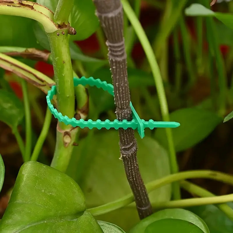 Avtoit | Plant fastening cable tie set for stable securing of plants