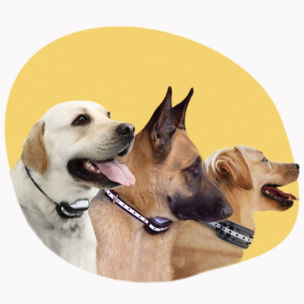 Avtoit | SafeZone Wireless Dog Fence & Training Collar – Rechargeable, Waterproof & Pet-Friendly Correction Modes
