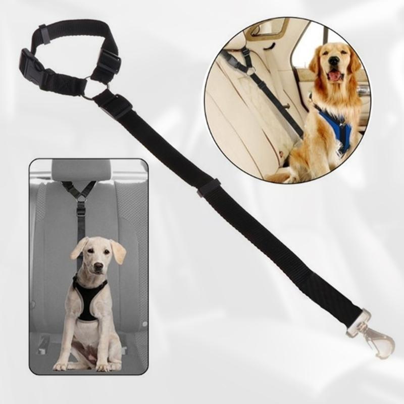 Avtoit | Adjustable Car Dog Leash