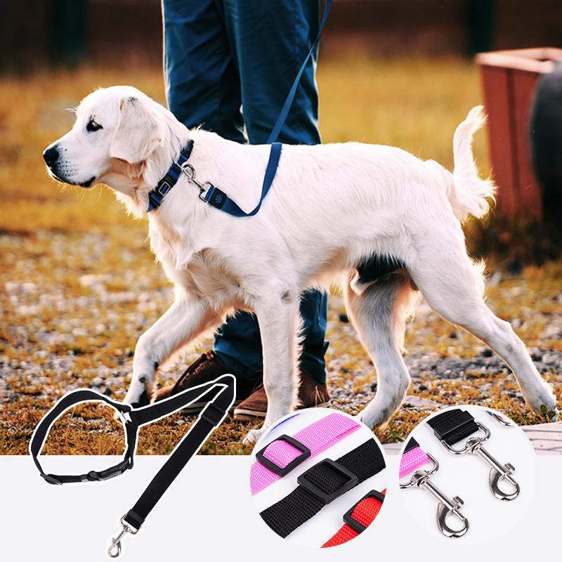 Avtoit | Adjustable Car Dog Leash