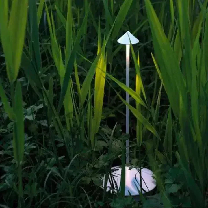 Avtoit | BeamLuxe - Sleek Wireless Table Light