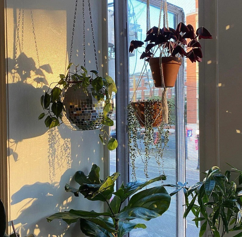Avtoit | Disco Ball Hanging Planter