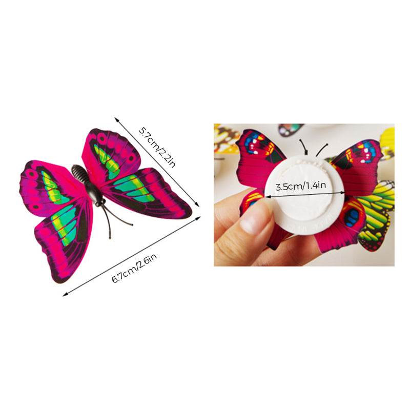 Avtoit | 3D LED Butterfly Decoration Night Light