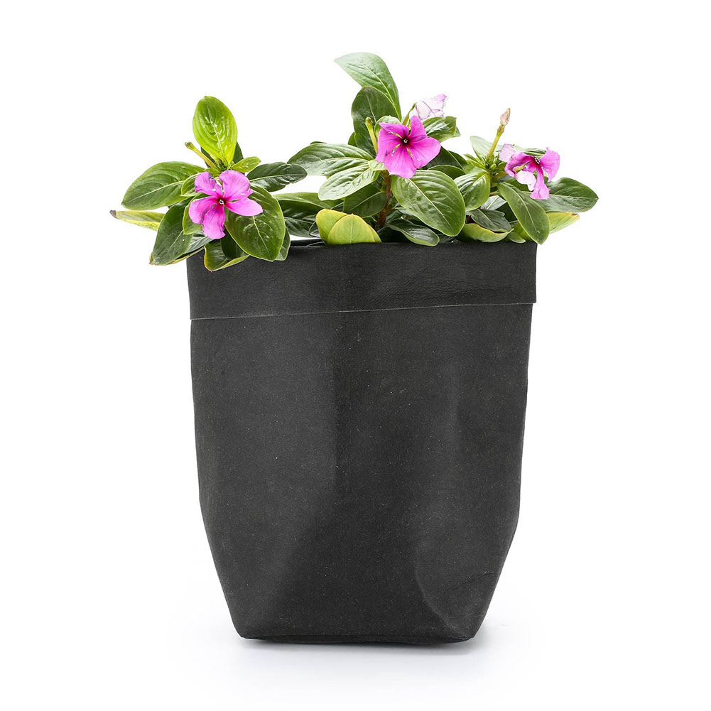 Avtoit | Stylish plant pots made of paper for modern decoration