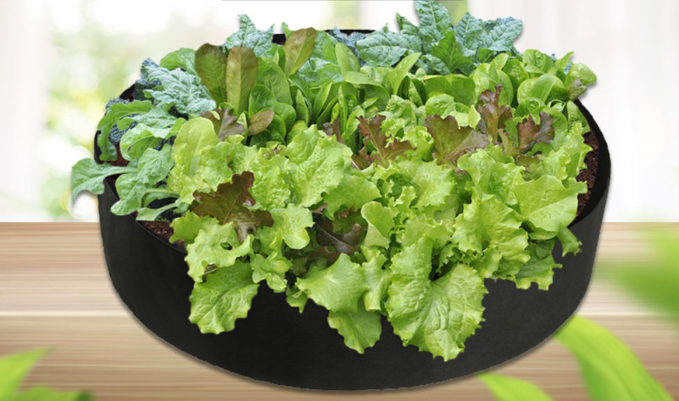 Avtoit | Round Plant Growth Bag – Garden Container for Easy Plant Growth