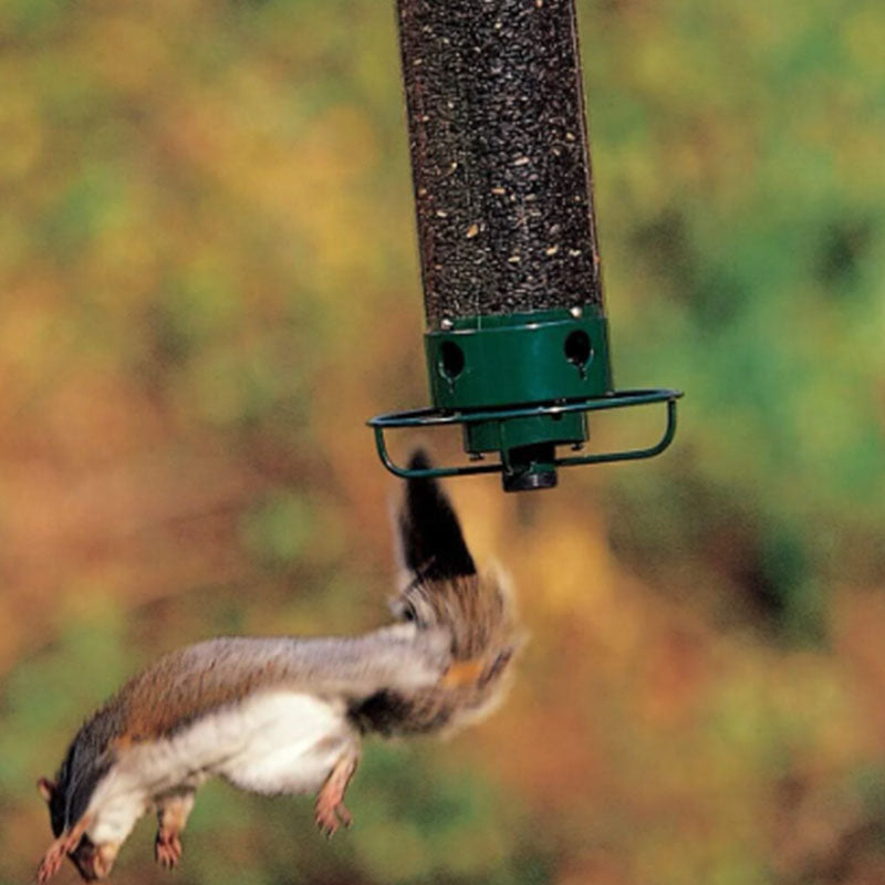 Avtoit | Squirrel-proof bird feeder