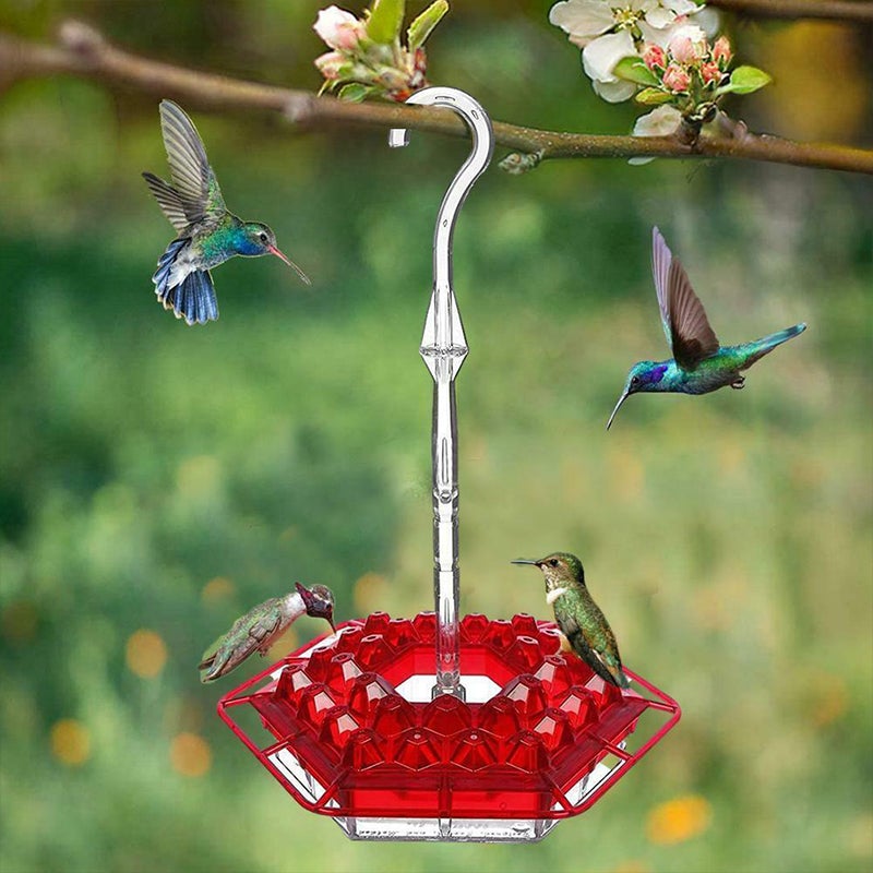 Avtoit | New Hummingbird Feeder