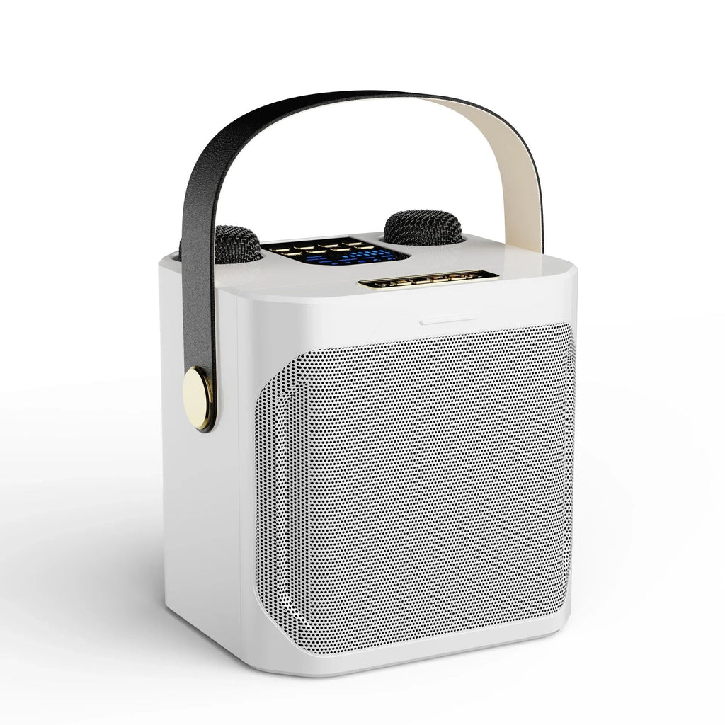 Avtoit | Karaoke Bluetooth Speaker – 360° Surround Wireless Subwoofer with Dual Mics