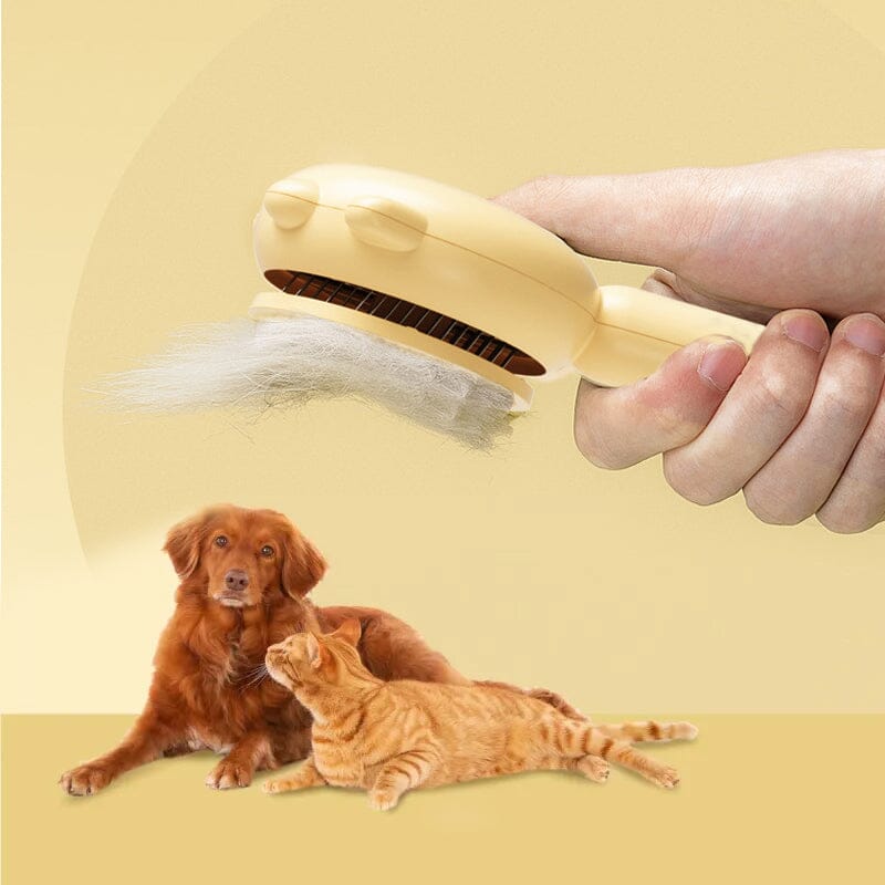 Avtoit | Pet Hair Brush
