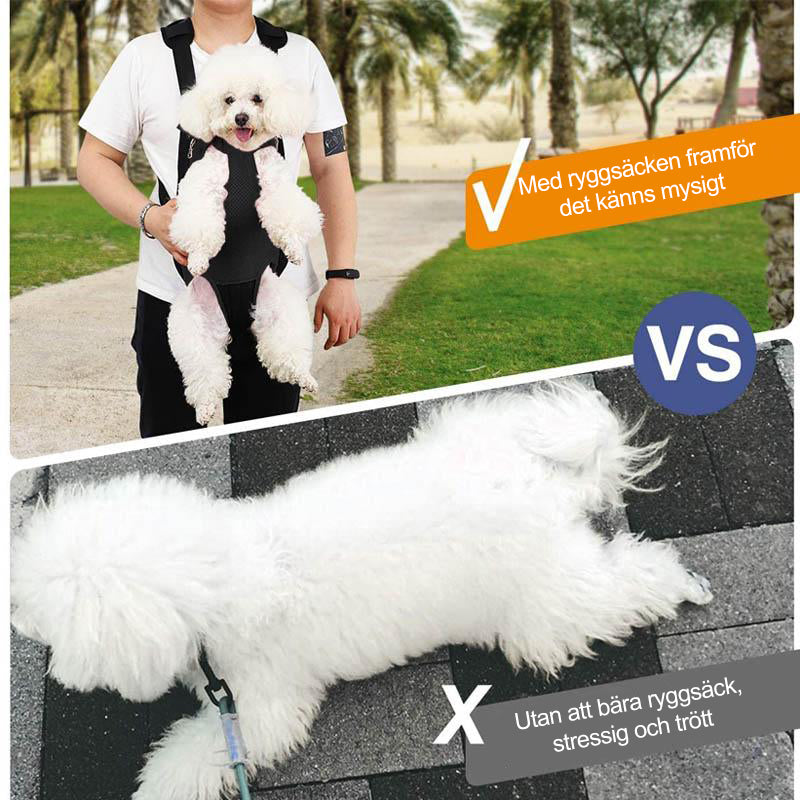Avtoit | Pet Backpack Front