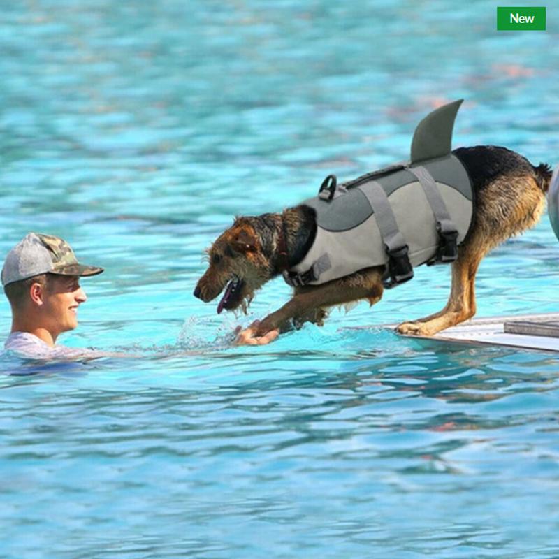 Avtoit | Dog Swim Safety Jacket