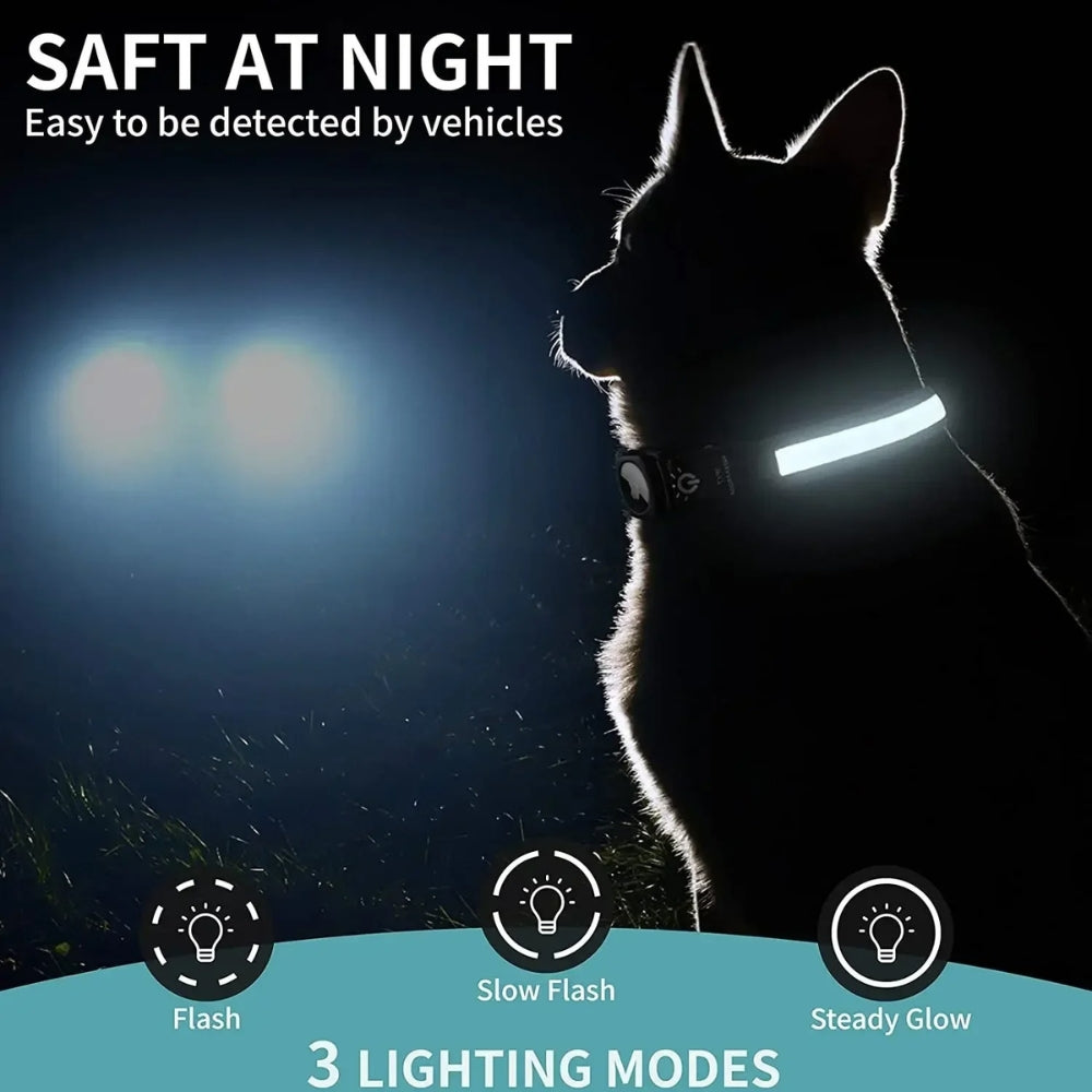 Avtoit | Flashing Dog Collars – Waterproof LED Light Up Dog Collar with USB Rechargeable Glow, Dog Collars Illuminated for Night Safety, All Sizes