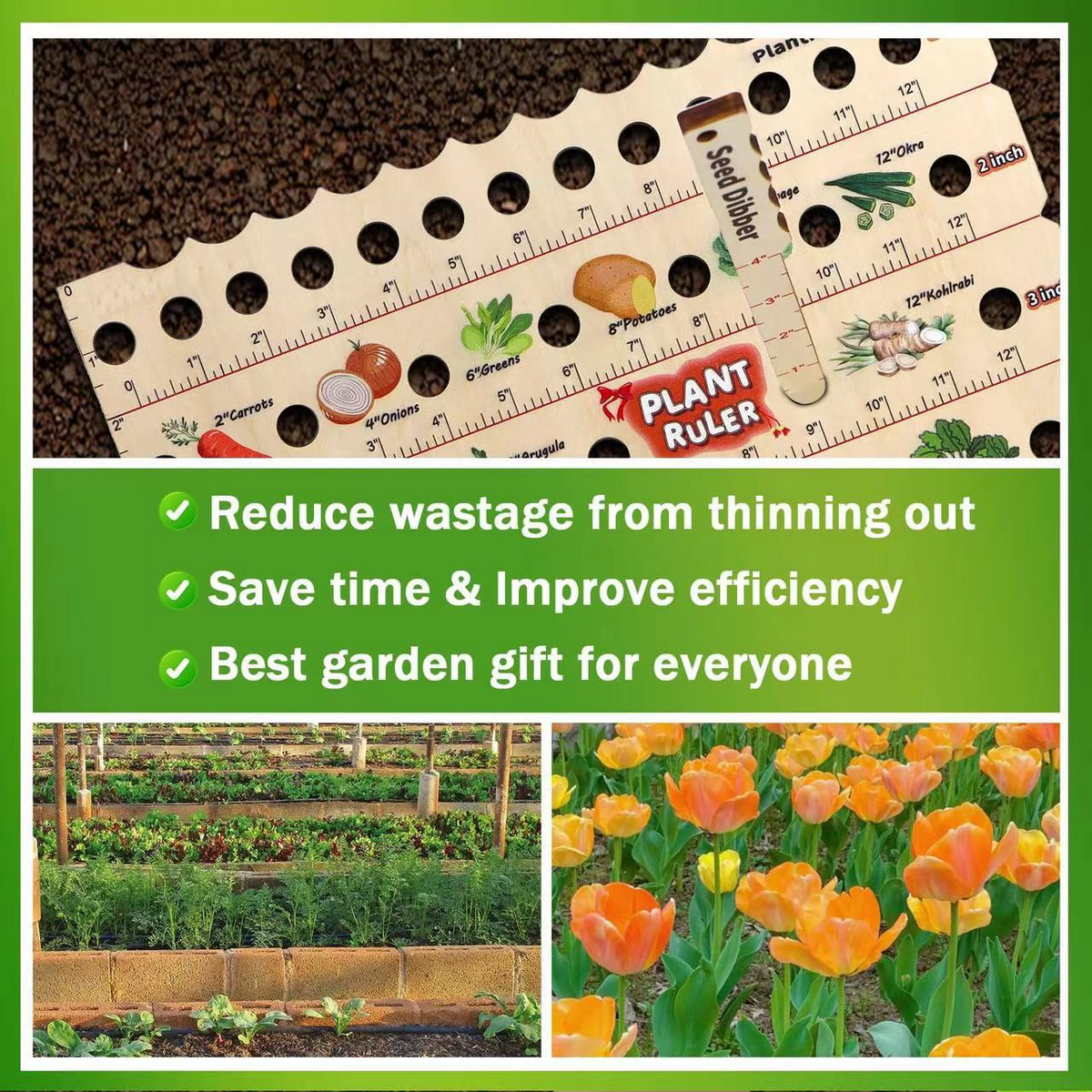 Avtoit | Wood Plant Ruler – Multifunctional Seed Measuring Tool for Garden
