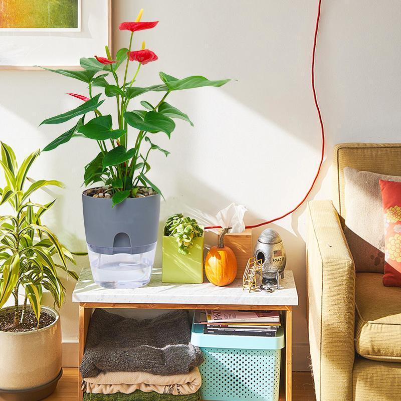 Avtoit | Self-watering Hydro-Flower Pot