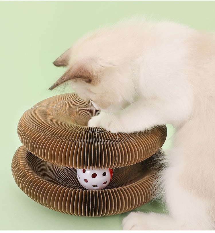 Avtoit | Magic Cat Scratch Board(with ball )