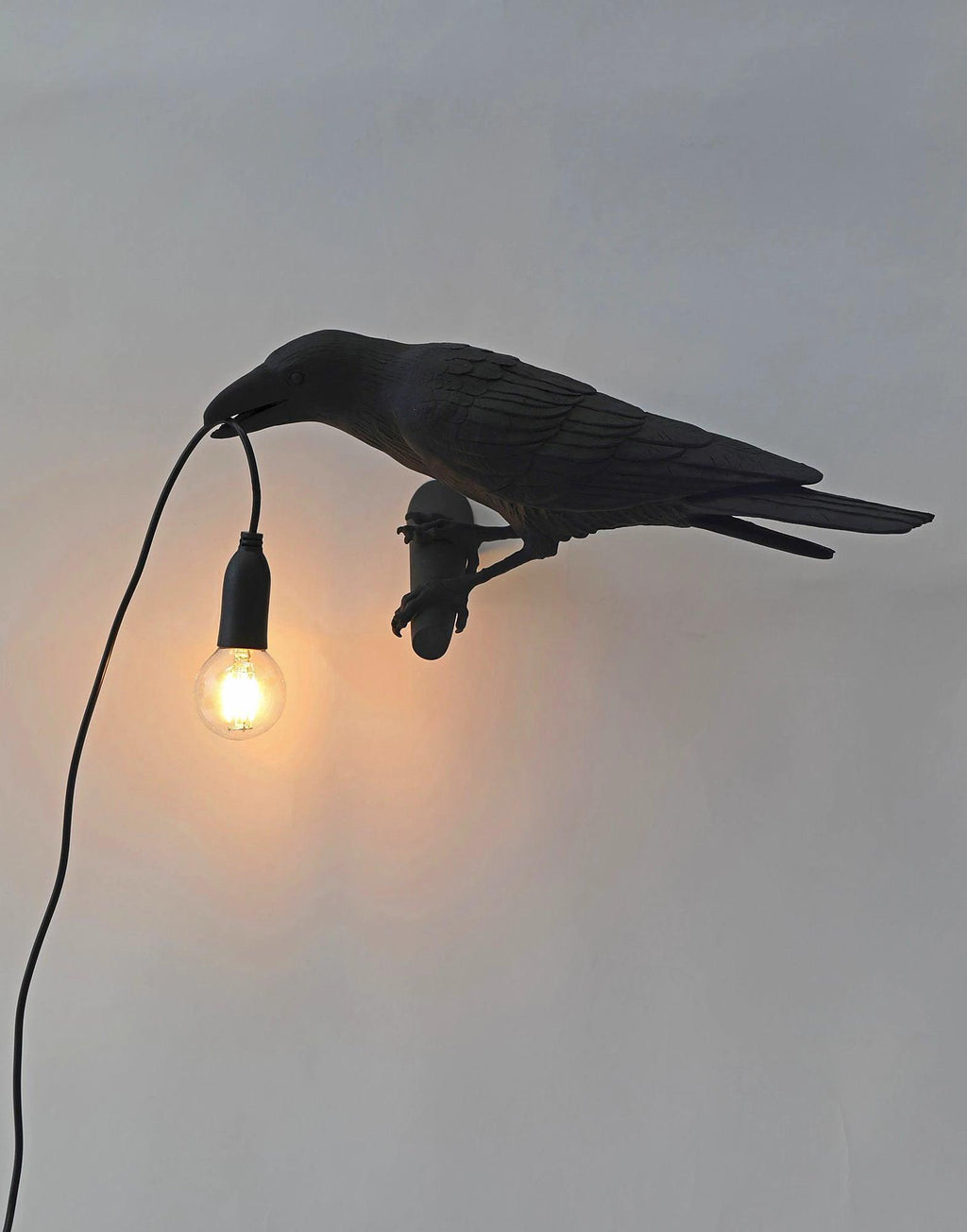 Avtoit | Bird Wall Light