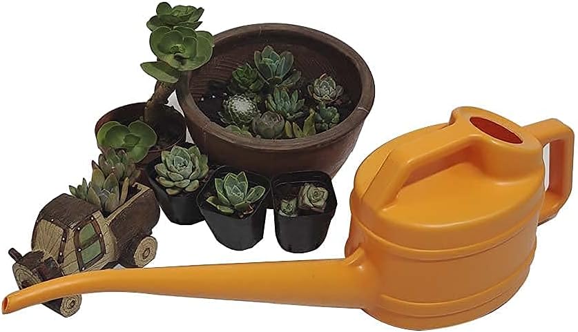 Avtoit | Watering can with long spout for precise and easy watering