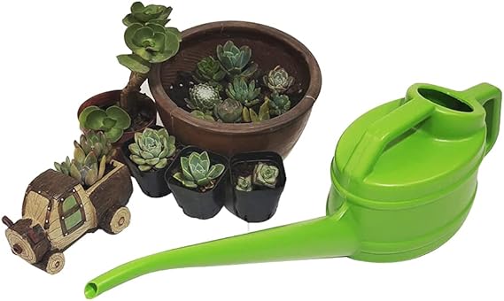 Avtoit | Watering can with long spout for precise and easy watering