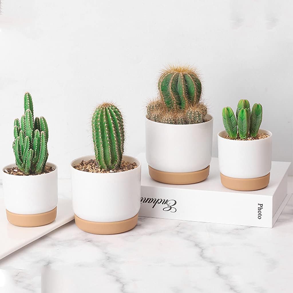 Avtoit | Self-watering flower pot for orchids and plants – Plastic plant container