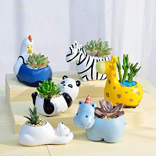 Avtoit | Animal Plant Pots – Funny Animal Designs for Succulents and Cacti