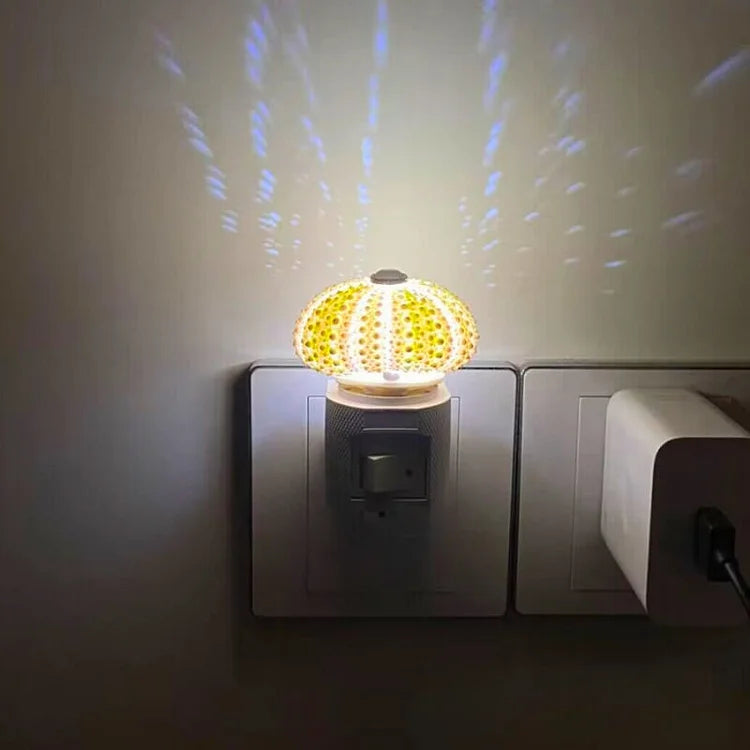 Avtoit | LumiCraft – Unique DIY table lamp with natural sea shell for a cozy décor