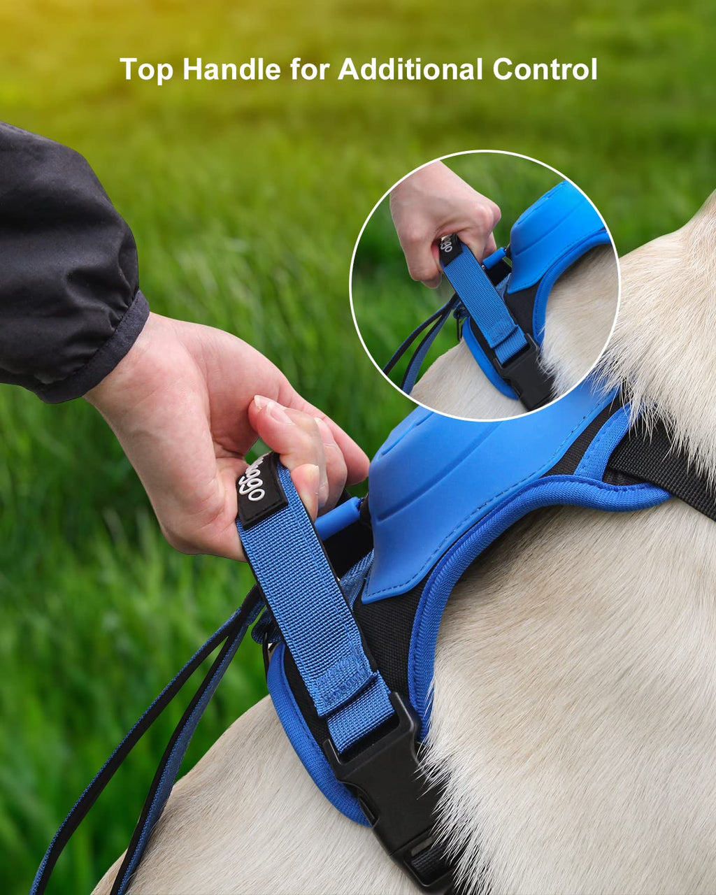 Avtoit | mamymarket™ - Dog Harness and Retractable Leash Set All-in-One