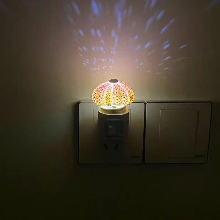 Avtoit | LumiCraft – Unique DIY table lamp with natural sea shell for a cozy décor