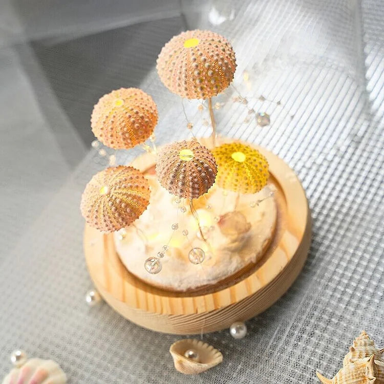 Avtoit | LumiCraft – Unique DIY table lamp with natural sea shell for a cozy décor