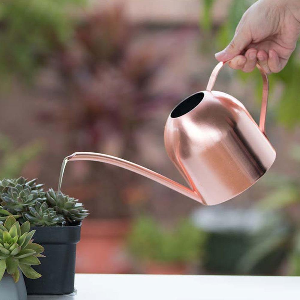 Avtoit | AquaGrace Stainless Steel Watering Can with Flexible Neck | Modern Design | Perfect Watering | Rustproof