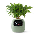 Avtoit | VerdeGlow – Self-Watering Smart Plant Pot | Automatic Irrigation | Modern Indoor Planter