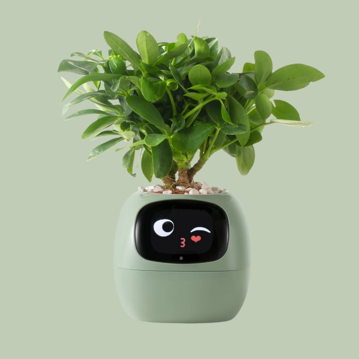 Avtoit | VerdeGlow – Self-Watering Smart Plant Pot | Automatic Irrigation | Modern Indoor Planter