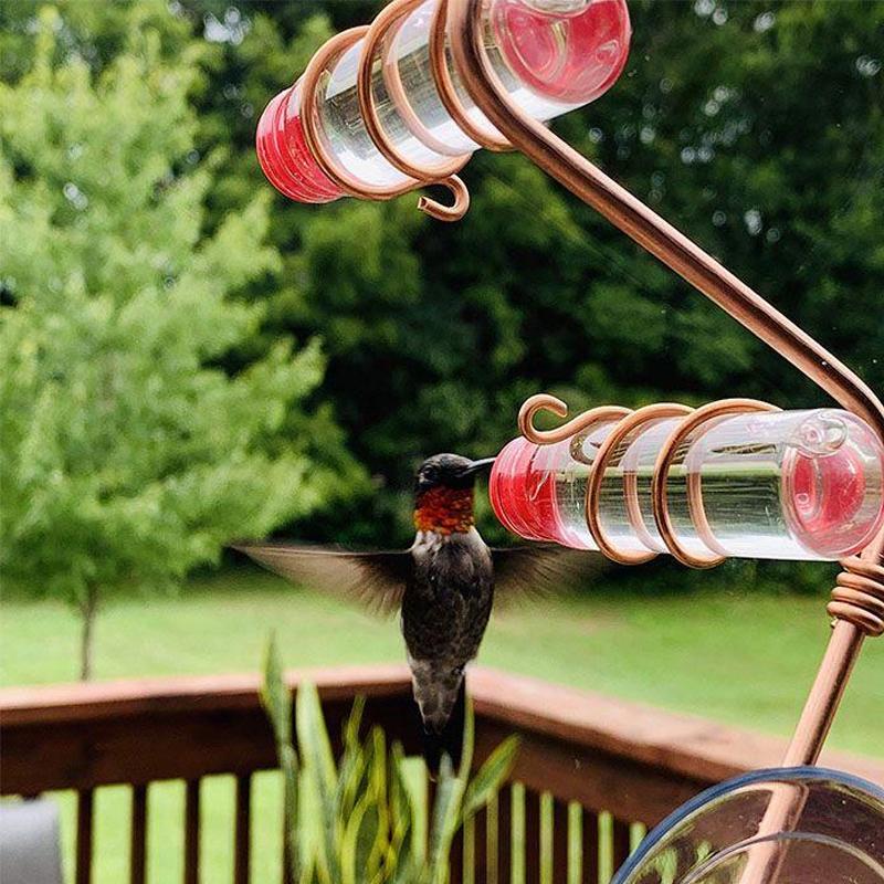 Avtoit | Window Hummingbird Feeder