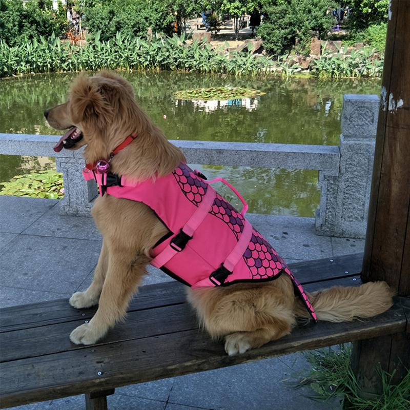 Avtoit | Dog Swim Safety Jacket