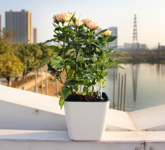 Avtoit | Flower pot with irrigation system – Self-watering plant pot for indoor and outdoor use