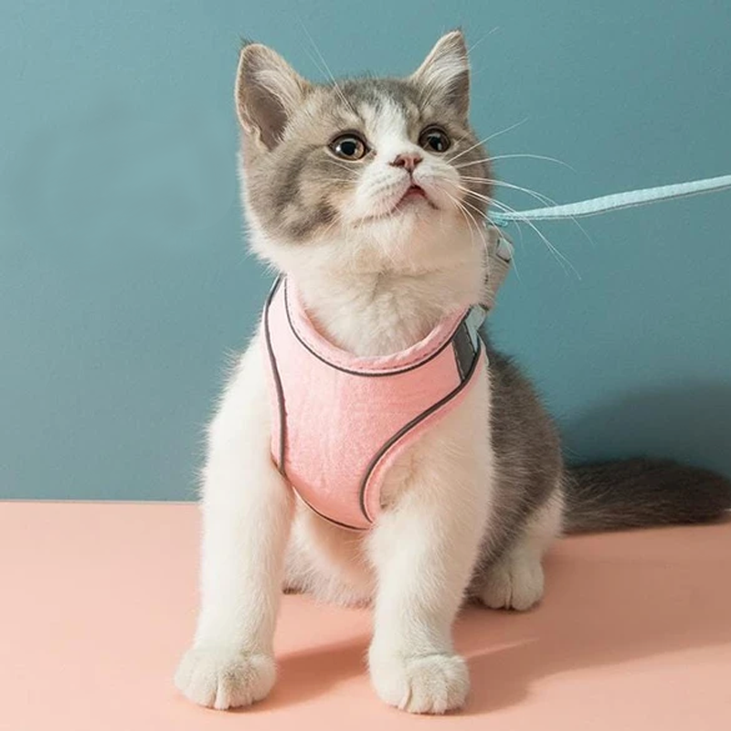 Avtoit | Cat Vest Harness and Leash Set