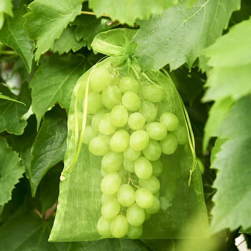 Avtoit | Fruit Protection Bag (100 PCS)