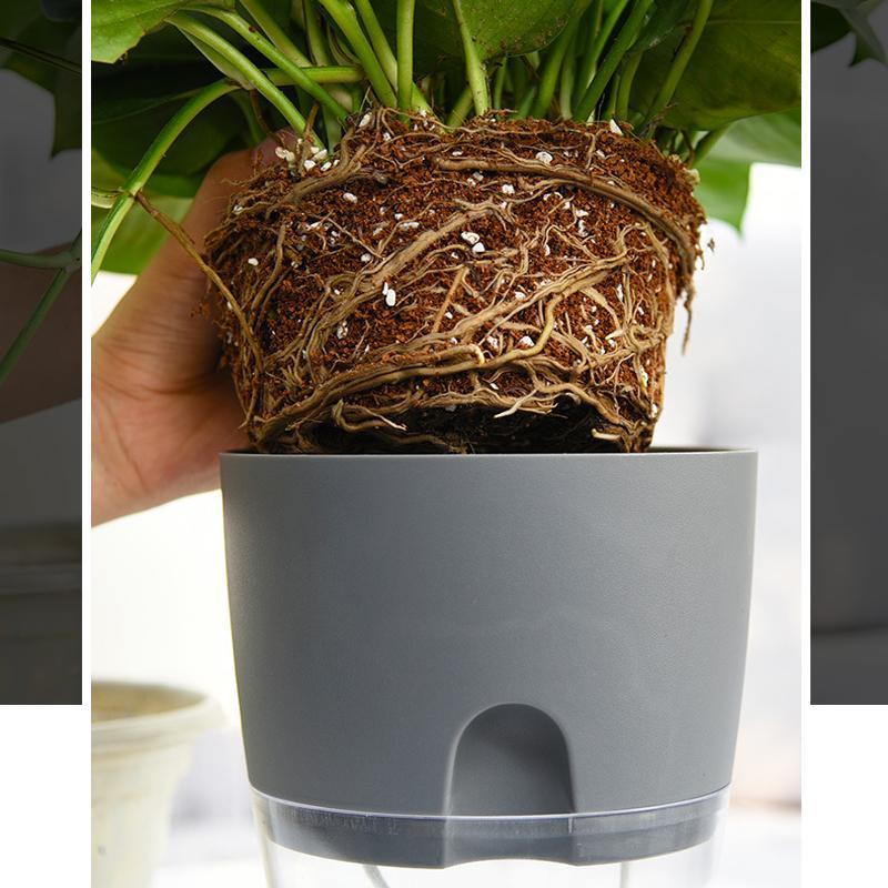 Avtoit | Self-watering Hydro-Flower Pot