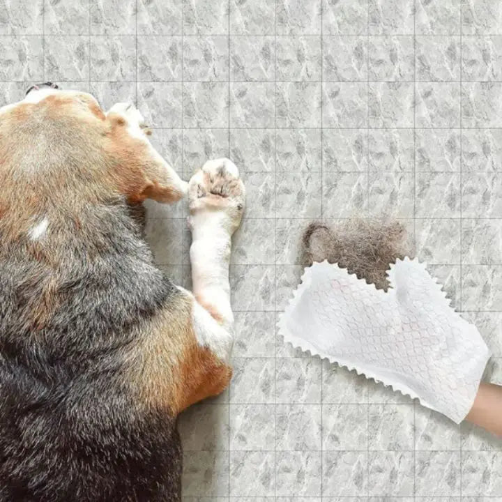 Avtoit | 5+5 | Versatile household gloves