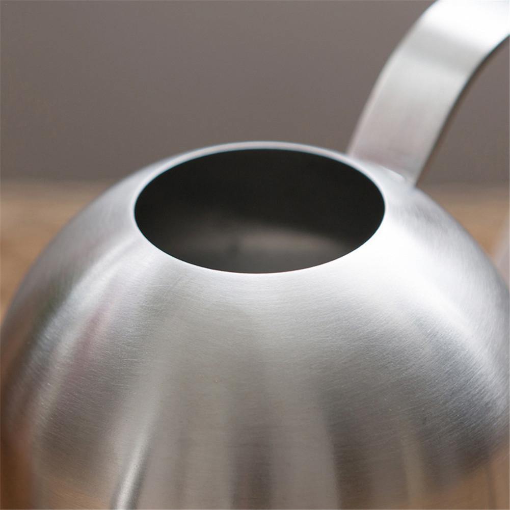 Avtoit | Stainless Steel Watering Can with Flexible Neck | Modern Design | Perfect Watering | Rustproof
