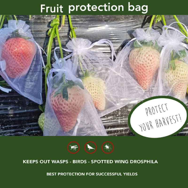 Avtoit | Fruit Protection Bag (100 PCS)