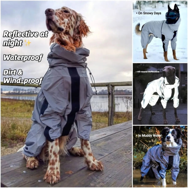 Avtoit | Waterproof Dog Coat with Legs – Reflective Dog Rain Jacket for Small & Large Breeds | Best Rain Coat for Dogs UK