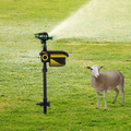 Avtoit | Sprinkler system for garden irrigation – Adjustable irrigation sprinkler with stand base
