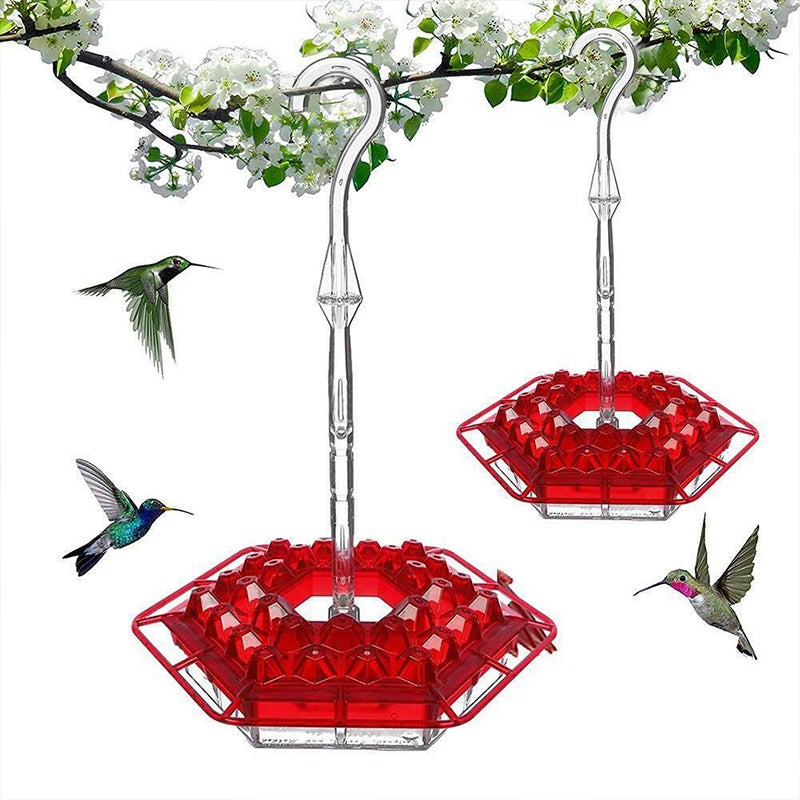 Avtoit | New Hummingbird Feeder