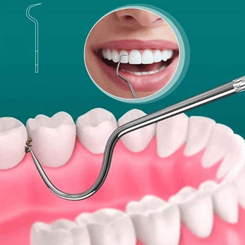 Avtoit | Stainless Steel Toothpick Set